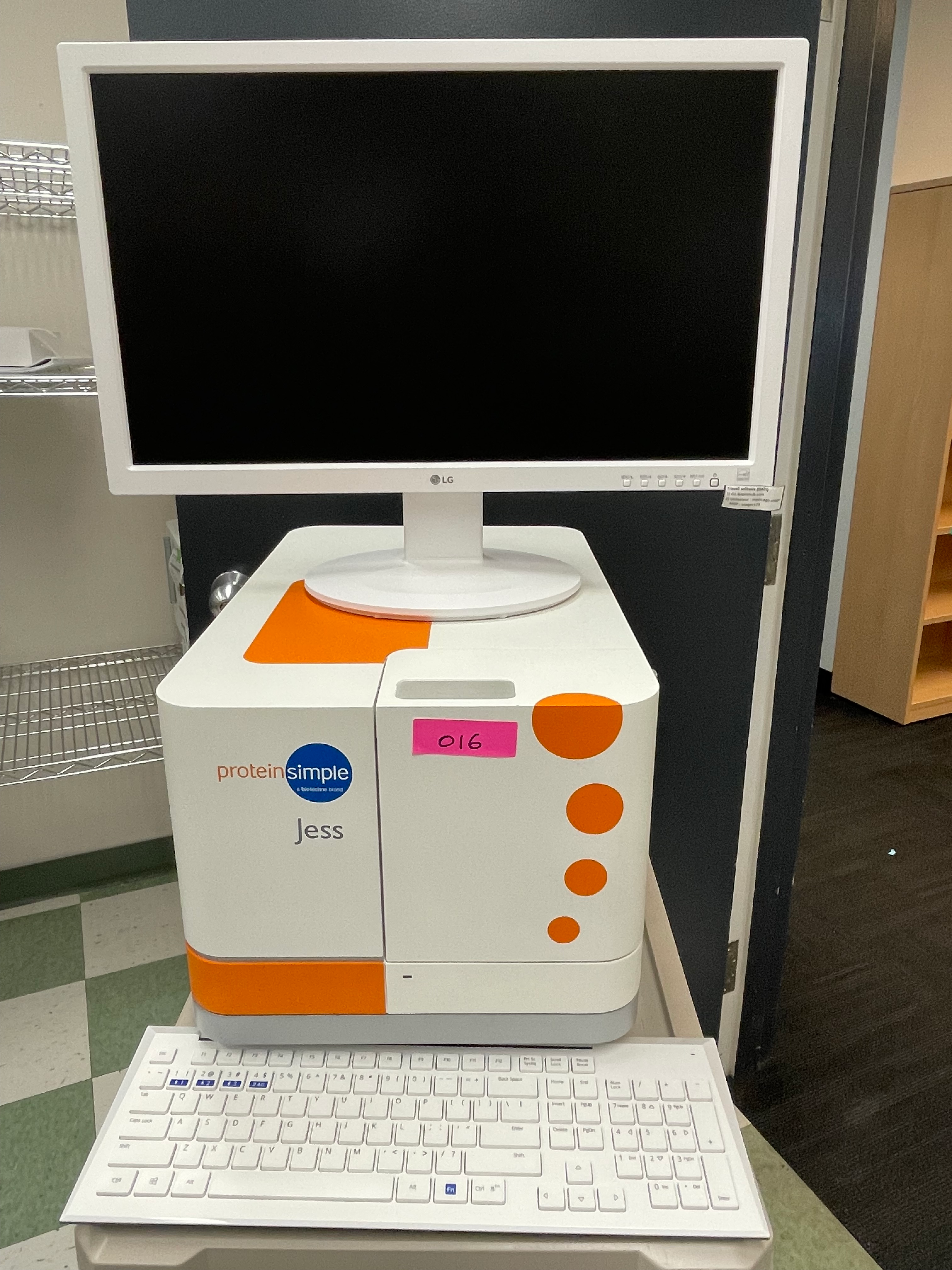 Automated Western Blot System (JESS)